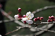 image0230