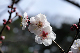 image0231