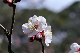 image0232