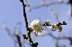 image0234
