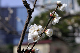image0235