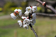 image0236