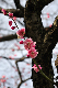 image0237