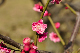 image0238