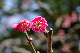 image0240