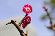 image0241