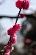 image0242