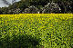 image0243