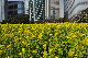 image0244