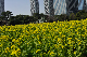 image0247