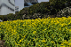 image0248
