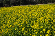 image0251