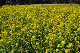 image0252