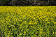 image0253