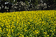 image0254