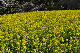 image0255