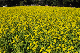 image0256