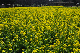 image0257