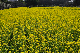 image0258