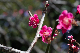image0265