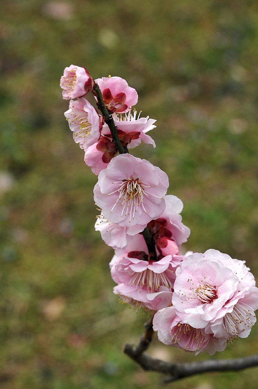 image0125