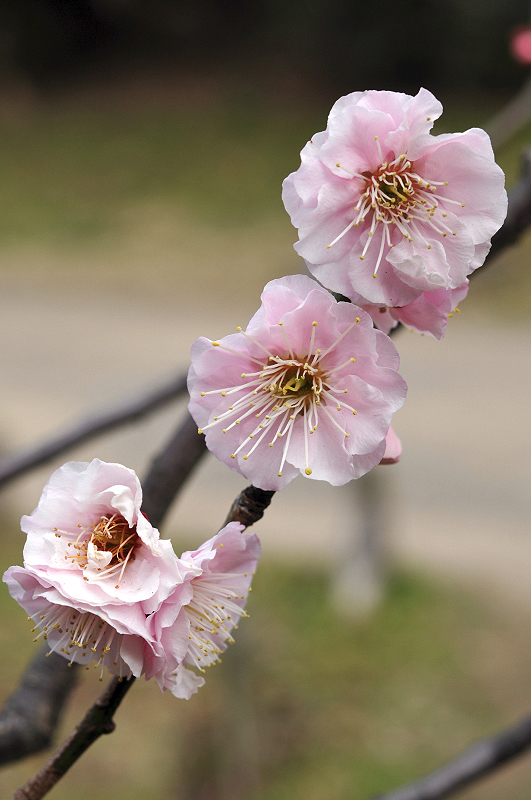 image0127