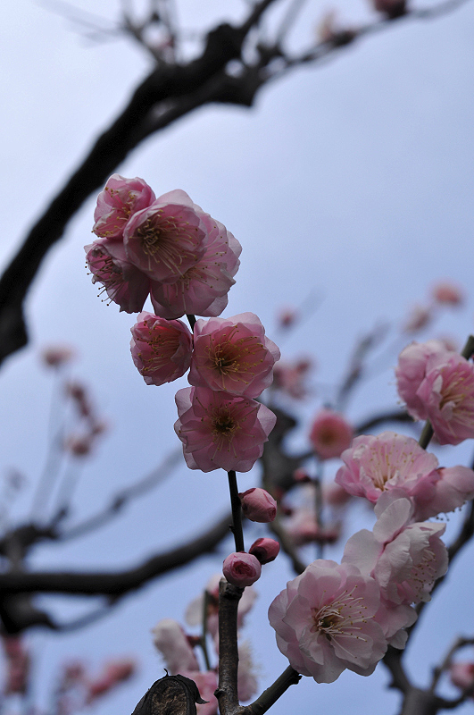 image0189