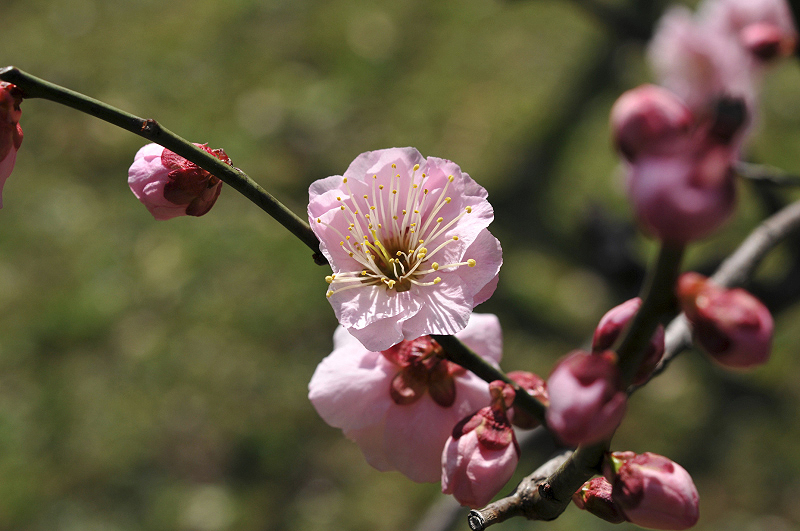 image0105