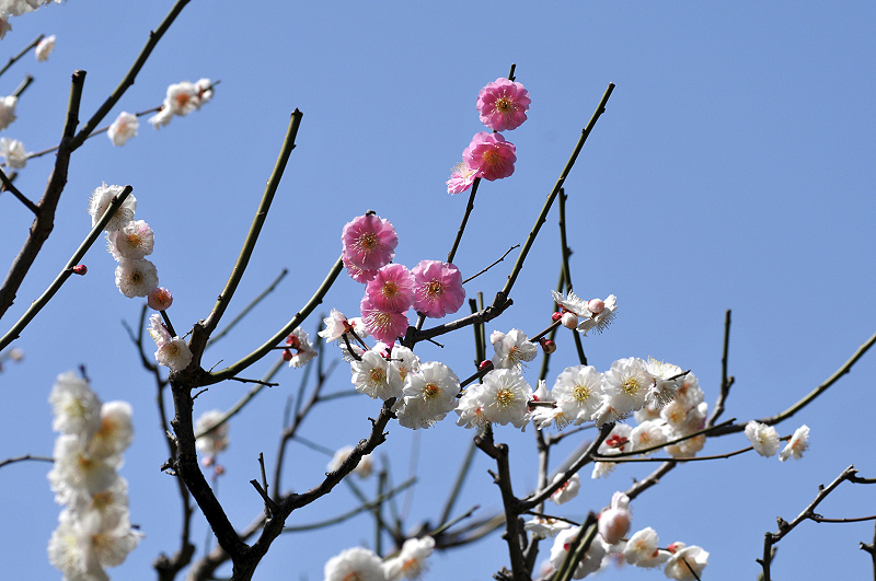 image0122