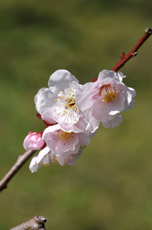 image0153