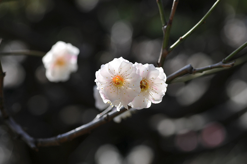 image0159