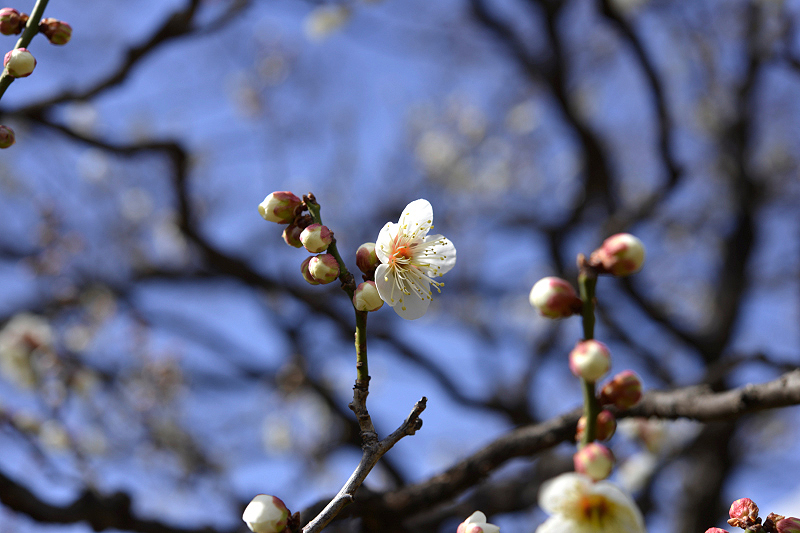 image0104