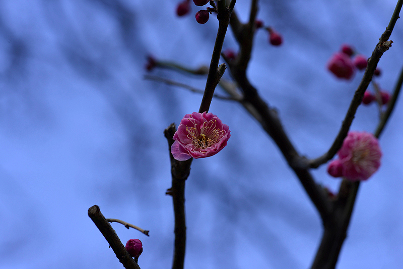 image0116