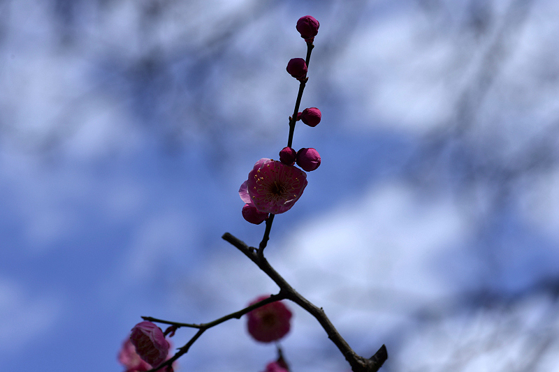 image0125