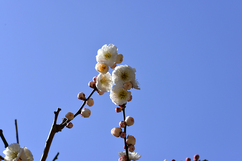 image0146
