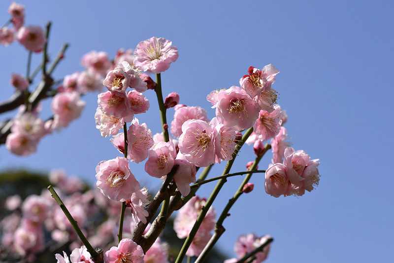 image0104