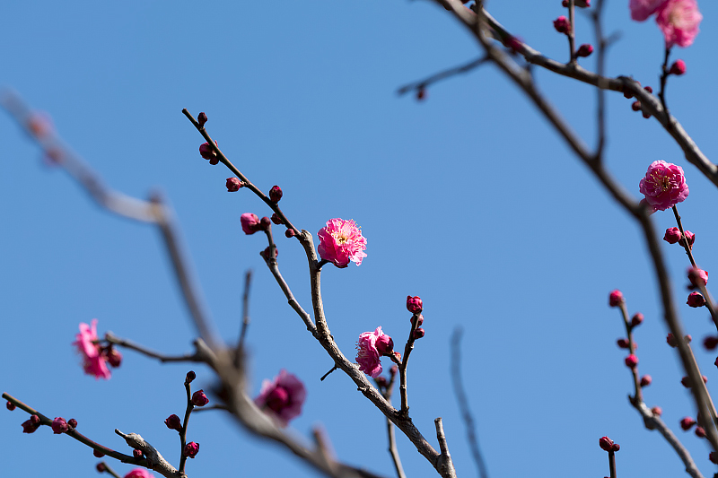 image0245