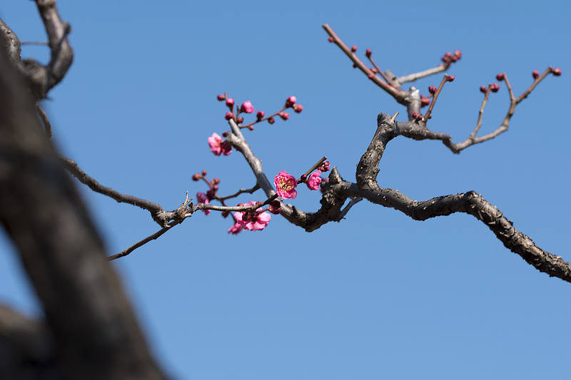 image0253
