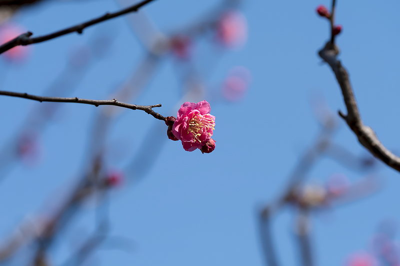 image0256