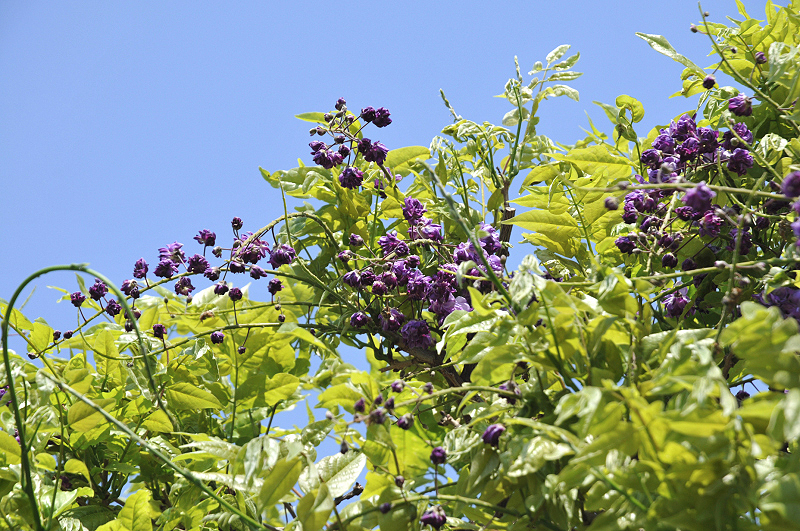 image0104