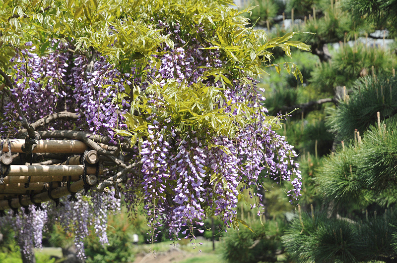 image0119