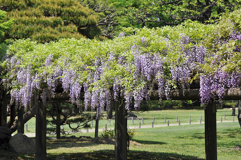image0127