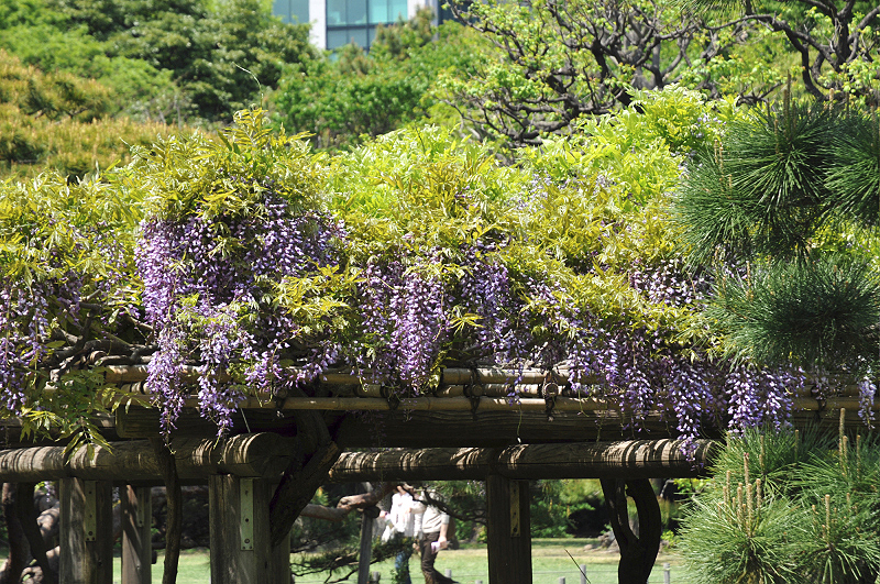 image0129