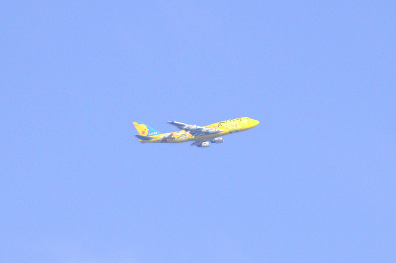 image0089