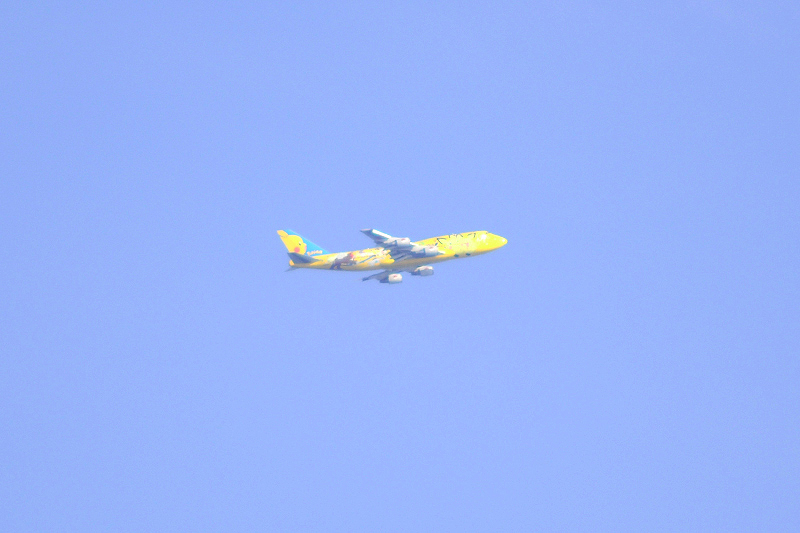 image0091