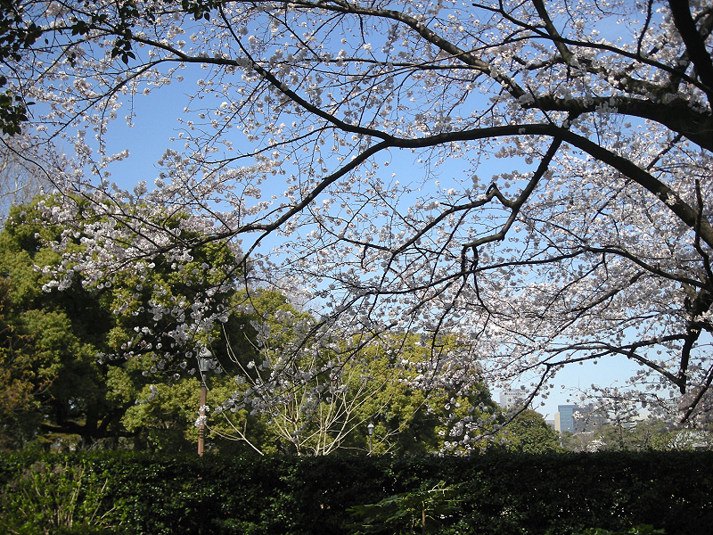 image0068