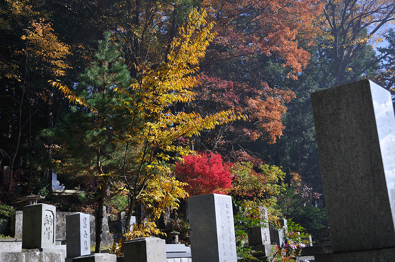 image0144