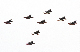image0130