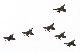 image0135