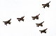 image0136